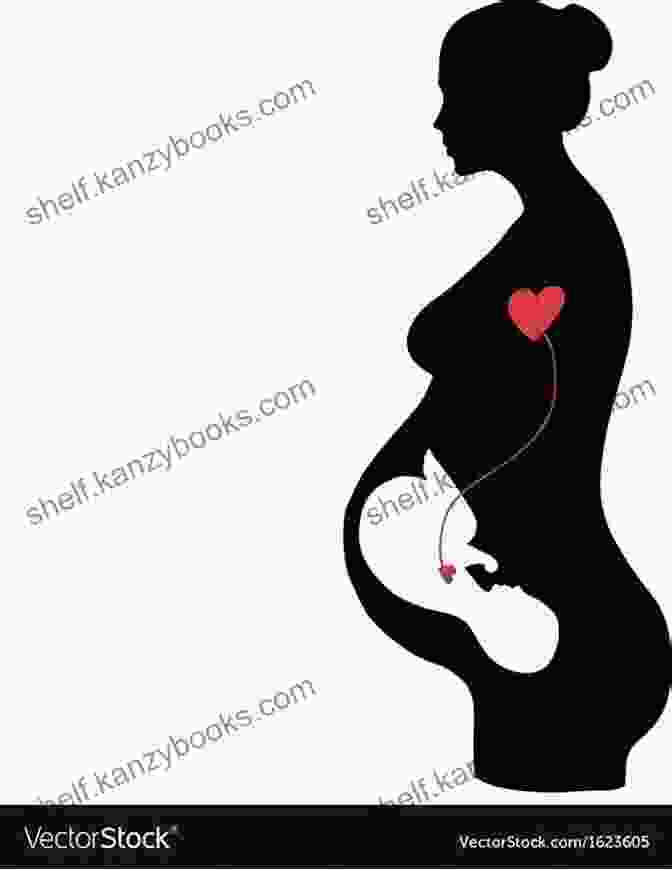 Baby For Dry Creek Book Cover Featuring A Silhouette Of A Pregnant Woman Against A Backdrop Of The Montana Landscape A Baby For Dry Creek