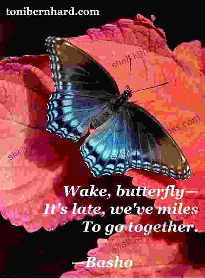 Haiku Structure And Image Of A Butterfly On A Flower. Shape Me A Rhyme: Nature S Forms In Poetry