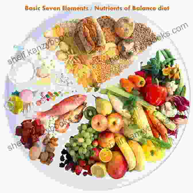 Image Of A Balanced Diet And Healthy Food Choices 101 Secrets For Living (to Be) 247*: Tips To Being Happier Healthier And Maybe Alive For A Lot Longer (*actual Results May Vary)