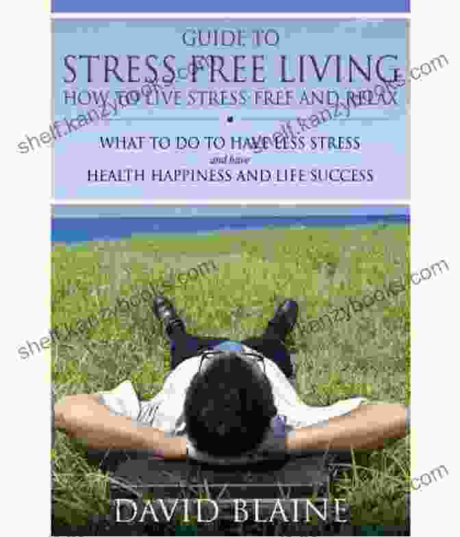 The Absolute Way To Live Stress Free Life Healthy Lifestyle Book Cover SIMPLE STRESS DIARY: The Absolute Way To Live A Stress Free Life (HEALTHY LIFESTYLE)