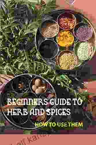 Beginners Guide To Herb And Spices How To Use Them: Simple Blended Spice Recipes Novice Cook